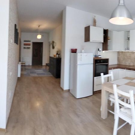 Apartament De Lux Cu Terasa Timişoara Exterior foto