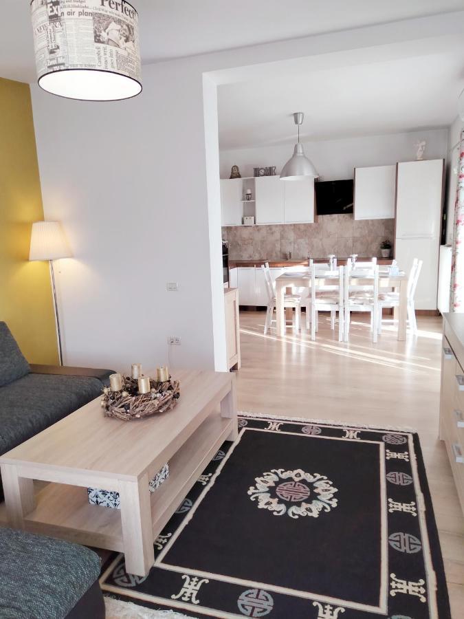 Apartament De Lux Cu Terasa Timişoara Exterior foto
