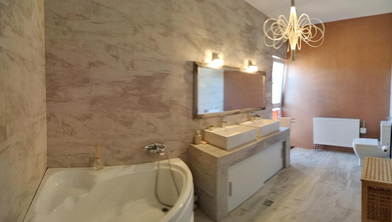 Apartament De Lux Cu Terasa Timişoara Exterior foto
