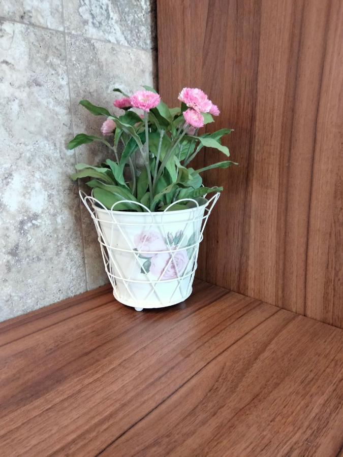 Apartament De Lux Cu Terasa Timişoara Exterior foto